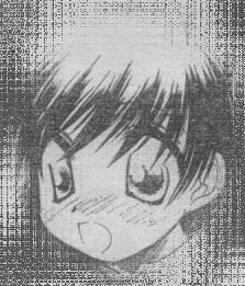 �X���ŉ�