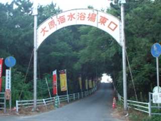 �ǂ݂́h�����΂�h�Ȃ̂�����