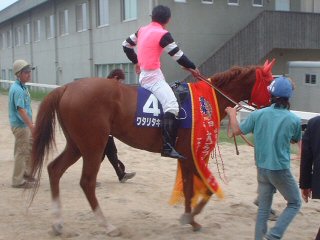 ���^���^�L�I��