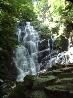 �����̑�